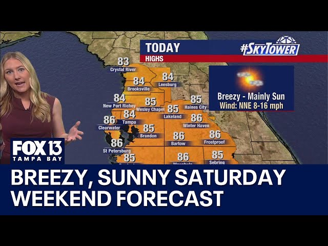 ⁣Tampa weather: Breezy, sunny Saturday