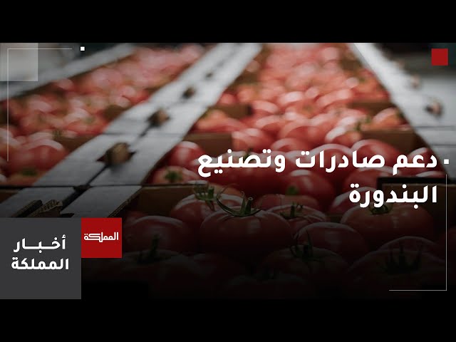 ⁣وزارة الزراعة: قرار دعم صادرات وتصنيع البندورة سيزيد التنافسية