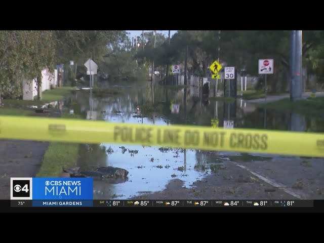 ⁣After Milton: Tampa and St. Petersburg dealing with gas shortage caused by hurricane