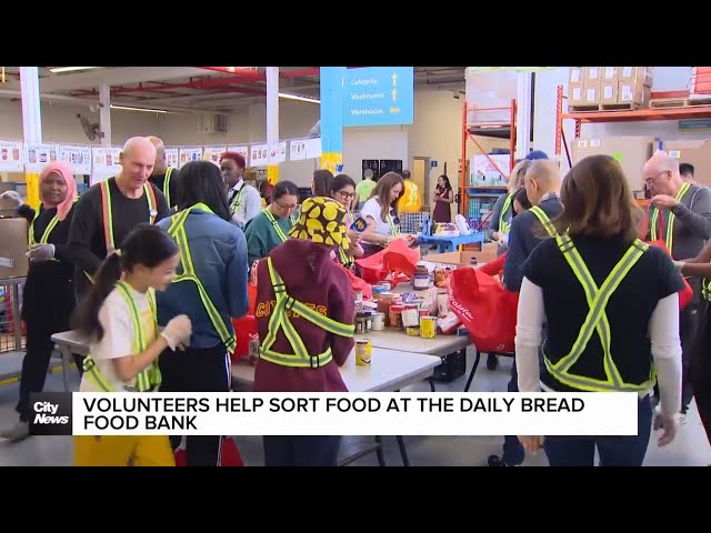 ⁣Volunteers help sort food at Daily Bread Food Bank