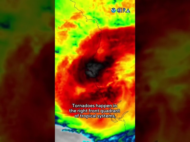 ⁣How Hurricane Milton produced tornadoes #shorts