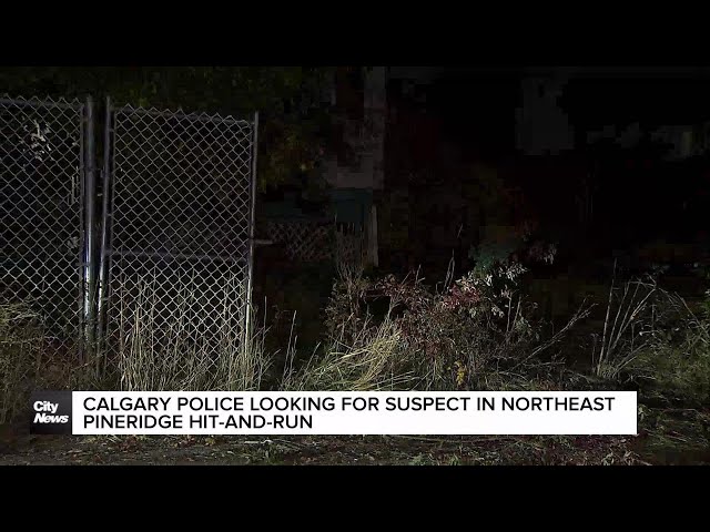 ⁣Suspect sought in NE Pineridge hit-and-run: Calgary police