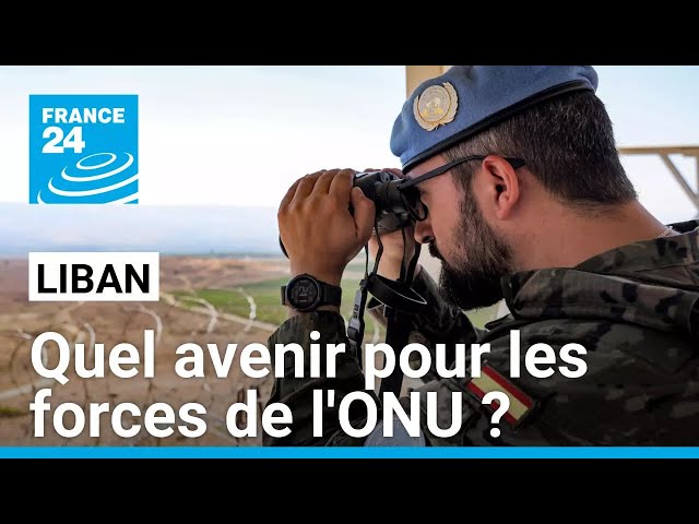 ⁣Quel avenir pour la Finul au Liban ? France 24 reçoit un responsable au sein de l'ONU