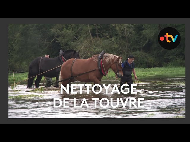 ⁣Nettoyage de La Touvre pour pêcher la truite saumonée