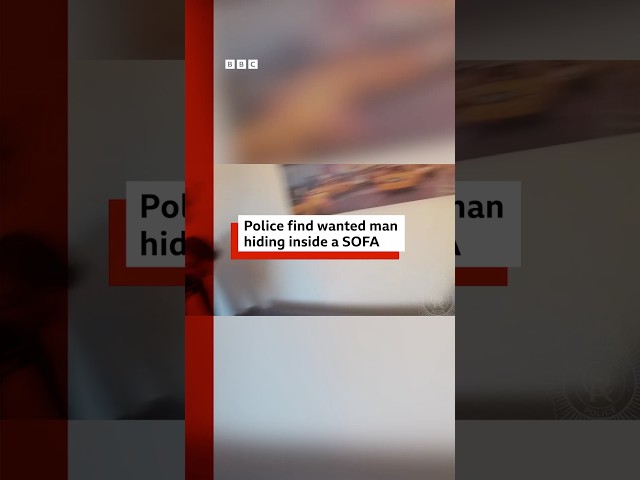 ⁣Police find wanted man hiding inside a sofa. #Police #Bedfordshire #BBCNews