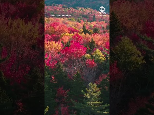 ⁣Vivid fall foliage on display in New Hampshire