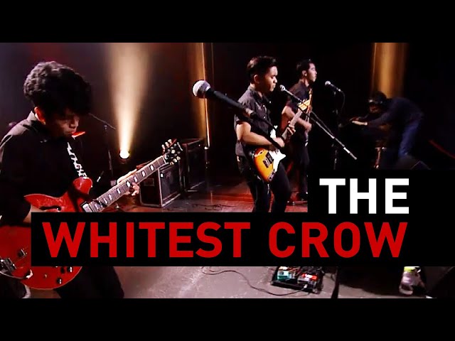 ⁣Your Soul -The Whitest Crow : Big Boom Box