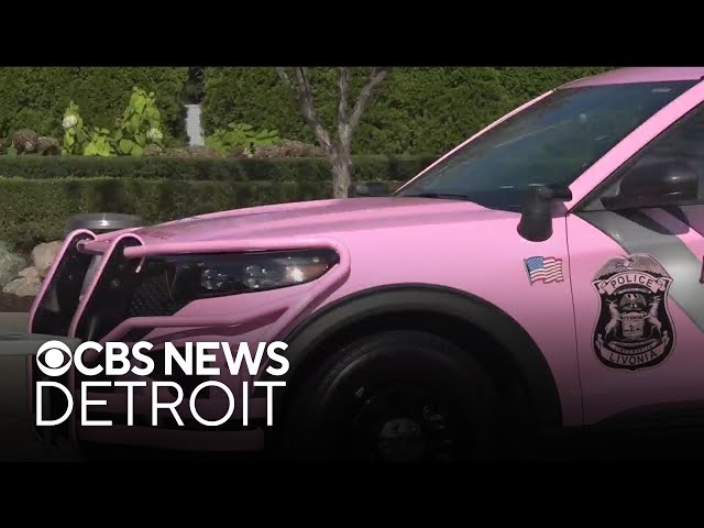 ⁣Livonia police connecting with faith leaders through communication, a splash of pink