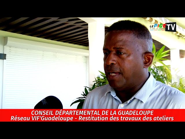 ⁣Conseil départemental de la Guadeloupe: Réseau VIF'Guadeloupe - Restitution des travaux des ate