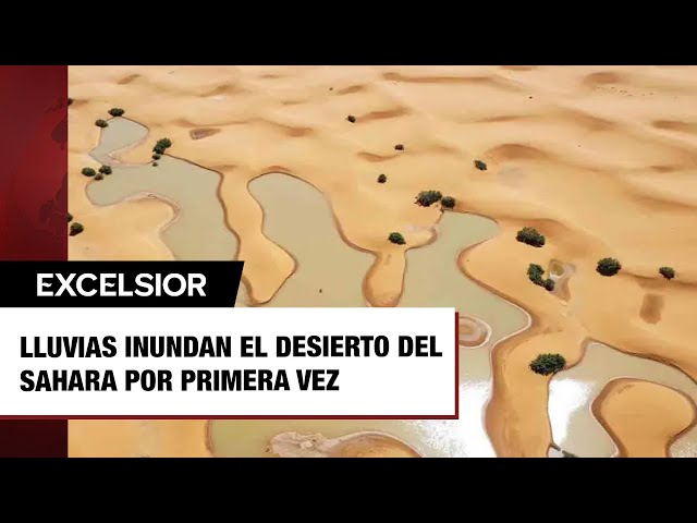 ⁣Lluvias inundan el desierto del Sahara por primera vez en más de 50 años; así luce