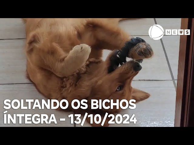 ⁣Soltando os Bichos - 13/10/2024