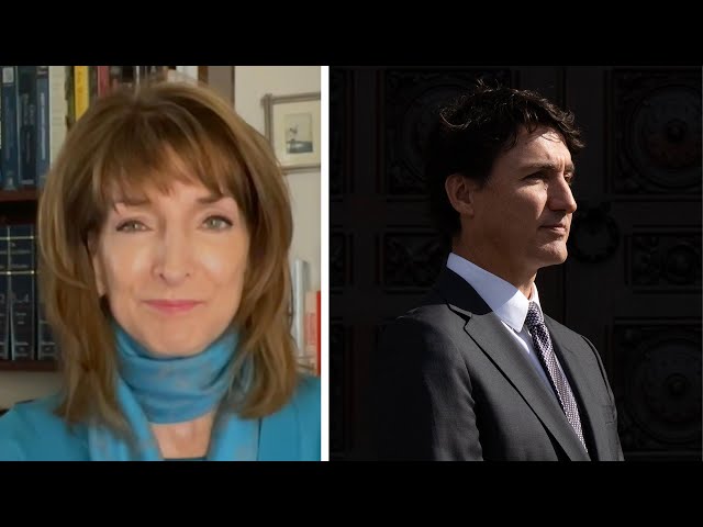 ⁣“It isn’t clear” current government will address issues in Canada | political analyst