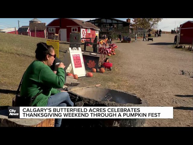 ⁣Calgary's Butterfield Acres celebrates Thanksgiving weekend through a special pumpkin fest