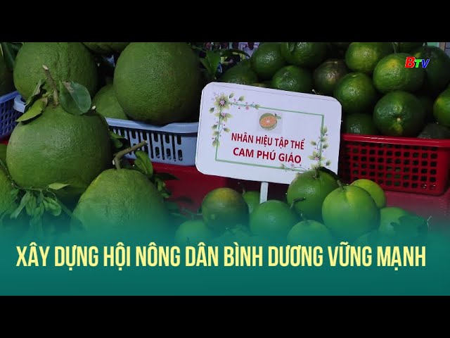 ⁣Xây dựng hội nông dân Bình Dương vững mạnh