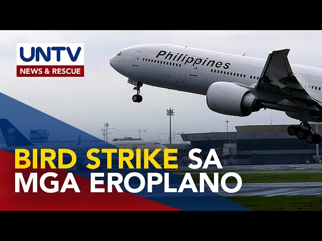 ⁣Bird strike sa mga eroplano dahil sa Climate Change, kabilang sa pag-uusapan sa 59th DGCN