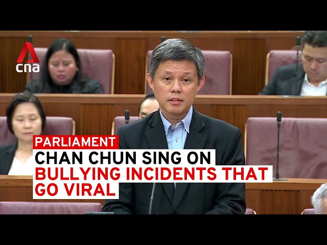 ⁣Chan Chun Sing on bullying incidents that go viral