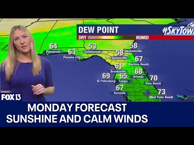 ⁣Tampa weather | Sunshine and calm winds