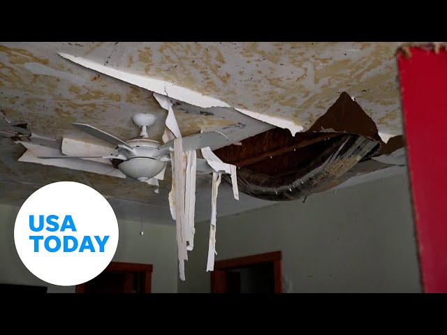 ⁣What does home insurance cover after a hurricane? It depends | USA TODAY