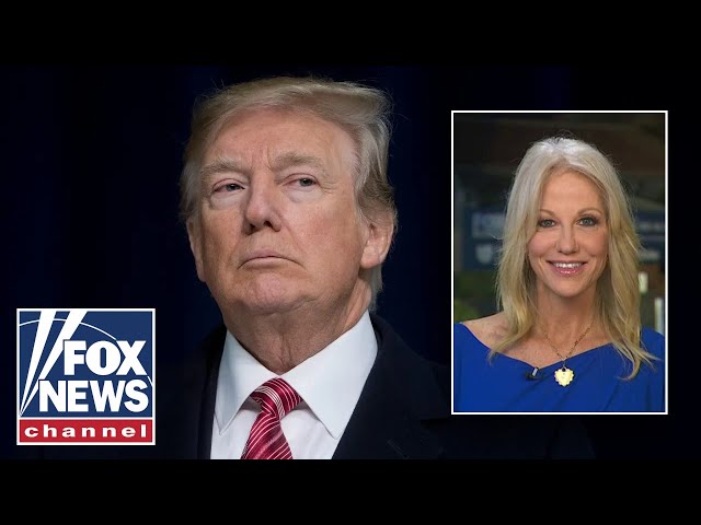 ⁣Kellyanne Conway: The key election issues favor Trump