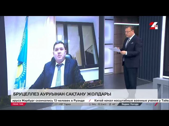 ⁣Бруцеллезден сақтану жолдары