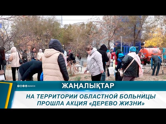 ⁣НА ТЕРРИТОРИИ ОБЛАСТНОЙ БОЛЬНИЦЫ ПРОШЛА АКЦИЯ «ДЕРЕВО ЖИЗНИ»