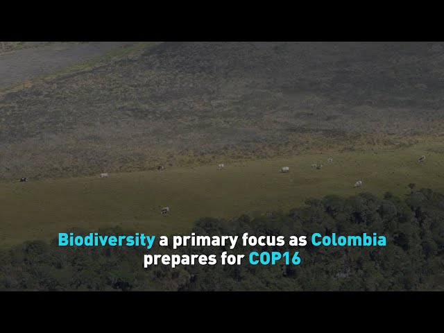 ⁣Colombia prepares for COP16 meeting