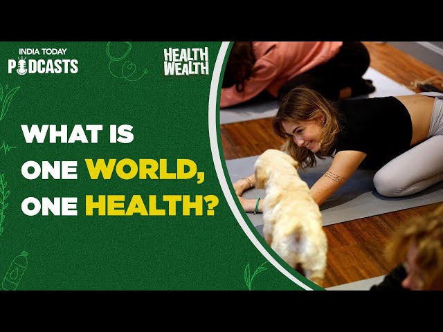 ⁣Are puppies the answer to urban stress? | Health Wealth, Ep 64