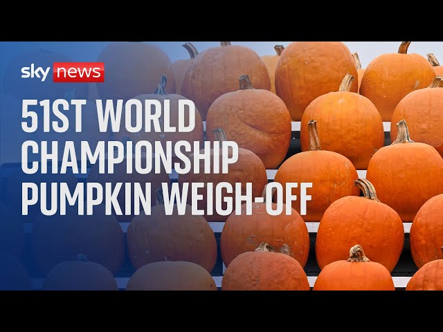 ⁣Watch live: The 51st World Championship Pumpkin Weigh-Off