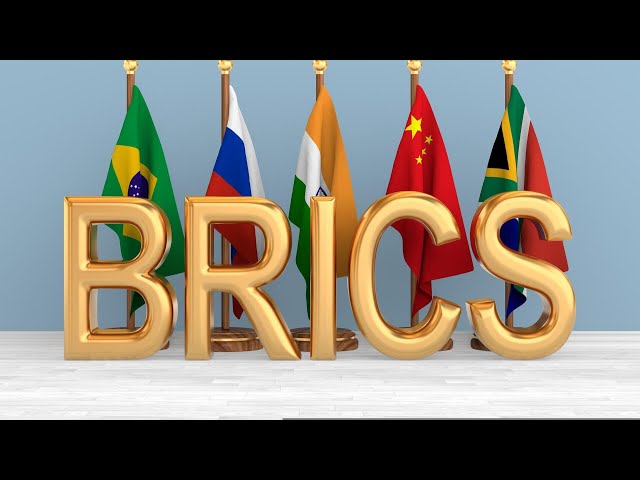 ⁣Les BRICS: une aubaine pour les pays africains?