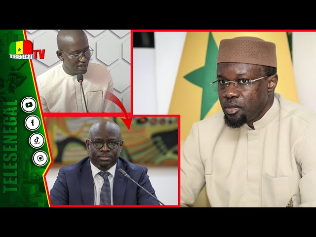 ⁣"Cheikh Diba n'est pas responsable de la falsification des chiffres, il faisait..." M