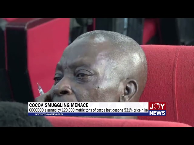 Cocoa smuggling menace: COCOBOD alarmed by 120,000 metric tons of cocoa lost despite 531% price hike