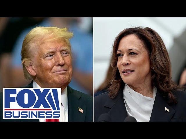 ⁣‘UTTERLY ABSURD’: Harris torched for claiming Trump staff is ‘hiding’ him