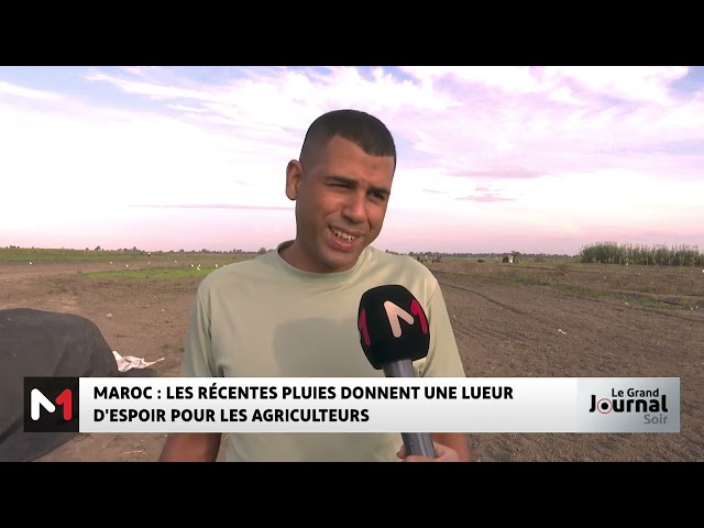 ⁣Maroc : les récentes pluies donnent une lueur d´espoir pour les agriculteurs