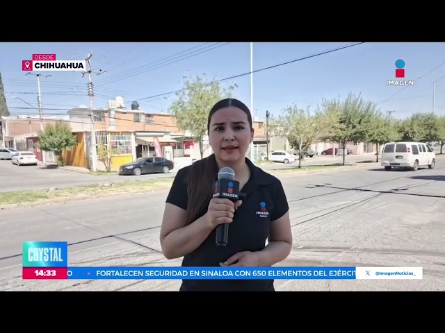 ⁣Maltrato animal en Chihuahua, los lomitos ya fueron asegurados | Noticias con Crystal Mendivil