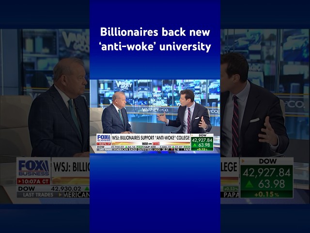 ⁣Billionaires are reportedly backing a new ‘anti-woke’ university #shorts