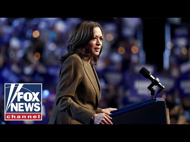 ⁣Vice President Kamala Harris delivers remarks at a campaign event in Erie, Pa.