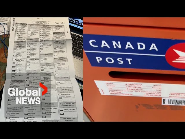 ⁣US election 2024: Americans living in Canada encouraged to vote