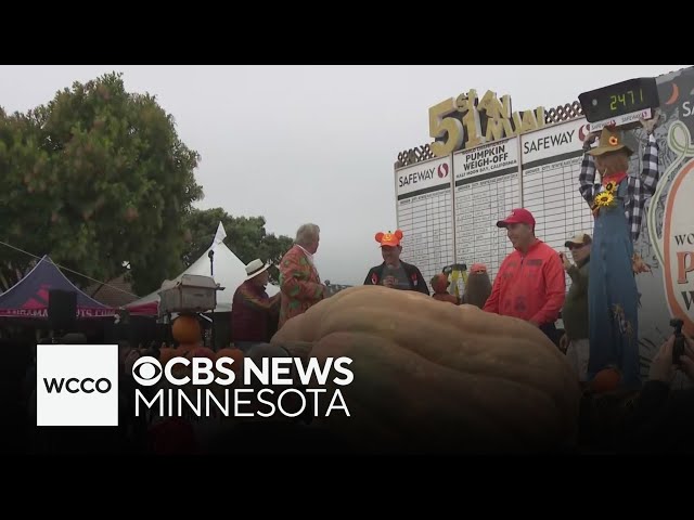 ⁣Anoka man wins pumpkin-weighing contest