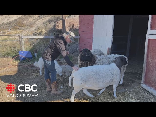 ⁣This blind hobby farmer wants to change the way people think about life without sight