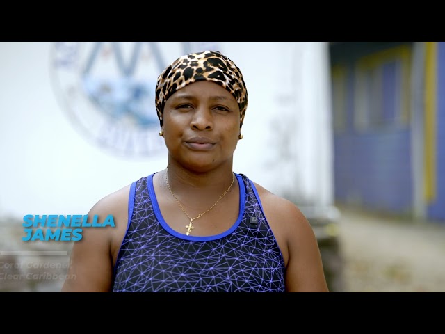 ⁣Saint Lucia's Climate Resilience Journey (Documentary)