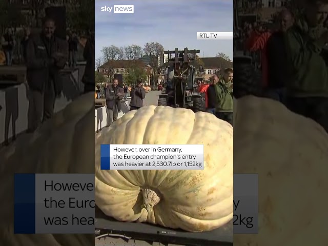 ⁣Exactly who has the heaviest pumpkin - Europe or the US? 