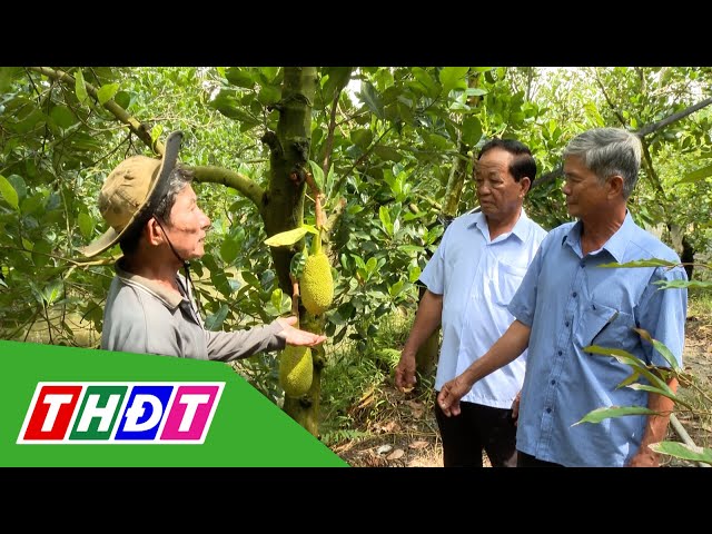 ⁣Nông dân tiên phong vì sự phát triển chung | THDT