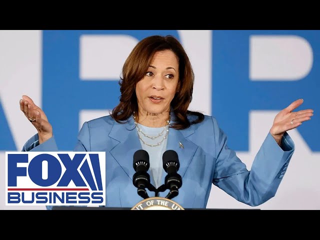 ⁣Kamala Harris doesn't poll well on the economy: Lee Carter