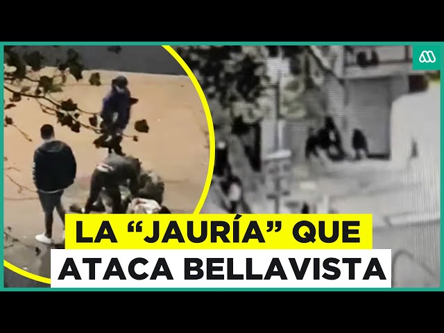 ⁣La "jauría" que ataca Bellavista: Temor por robos en tradicional barrio de Santiago