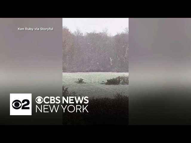 ⁣Video shows first snowfall in Upstate New York