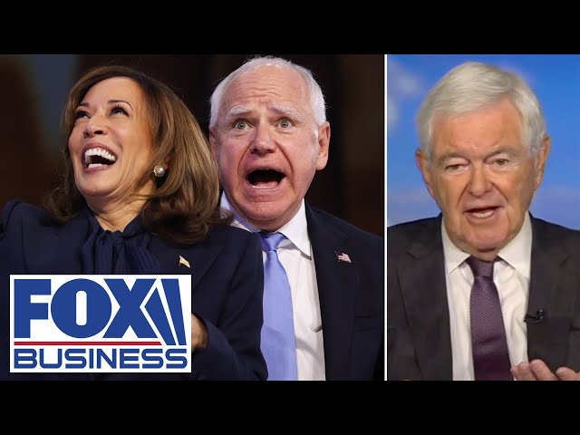 ⁣Gingrich: This tells you ‘how much trouble’ Democrats are in