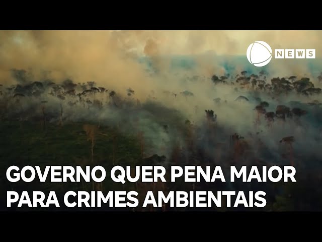 ⁣Governo quer endurecer penas para crimes ambientais