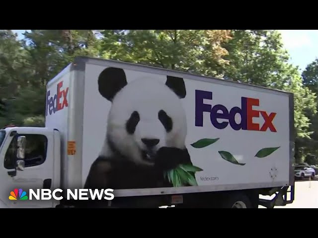 ⁣Two giant pandas from China arrive at the National Zoo