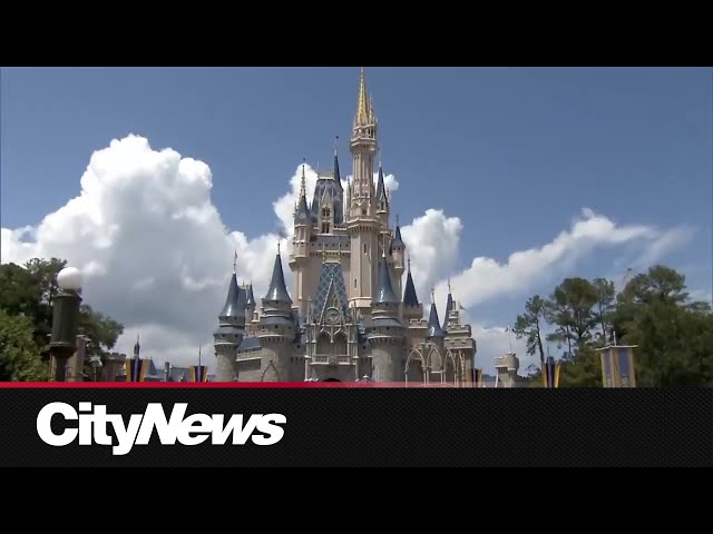 ⁣Dreams take flight charity helping to send kids to Walt Disney World