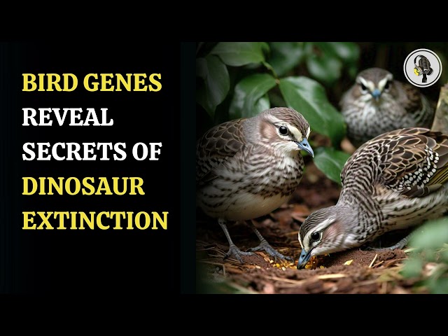 ⁣Birds Genes Reveal Secrets Of Dinosaur Extinction   | WION Podcast